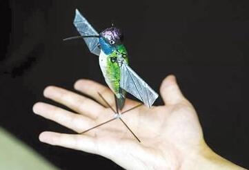 微型蜂鸟机器人靠AI算法飞行